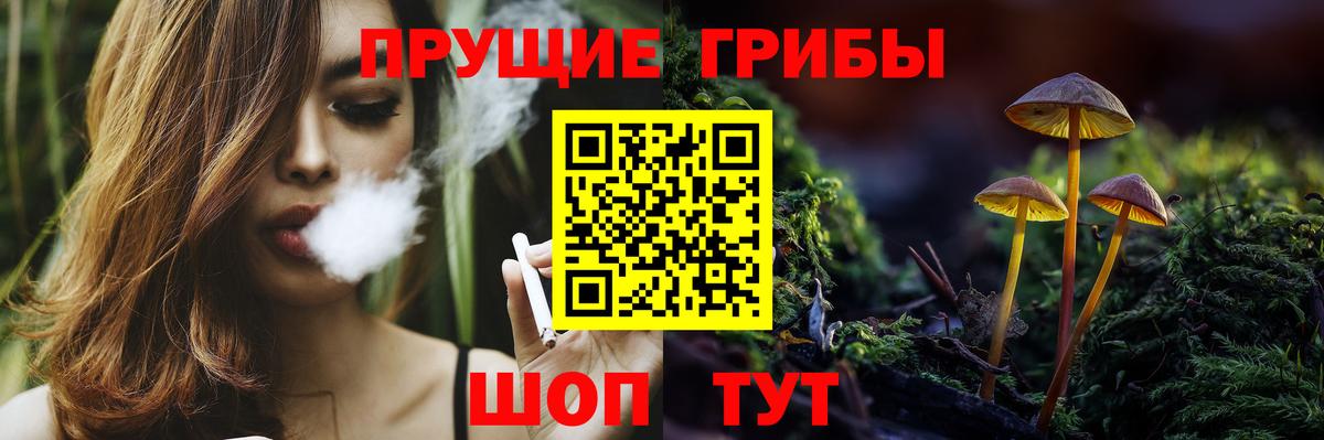 Семилуки  Псилоцибиновые грибы прущие грибы  Вход с VPN  Псилоцибиновые грибы GOLDEN TEACHER 