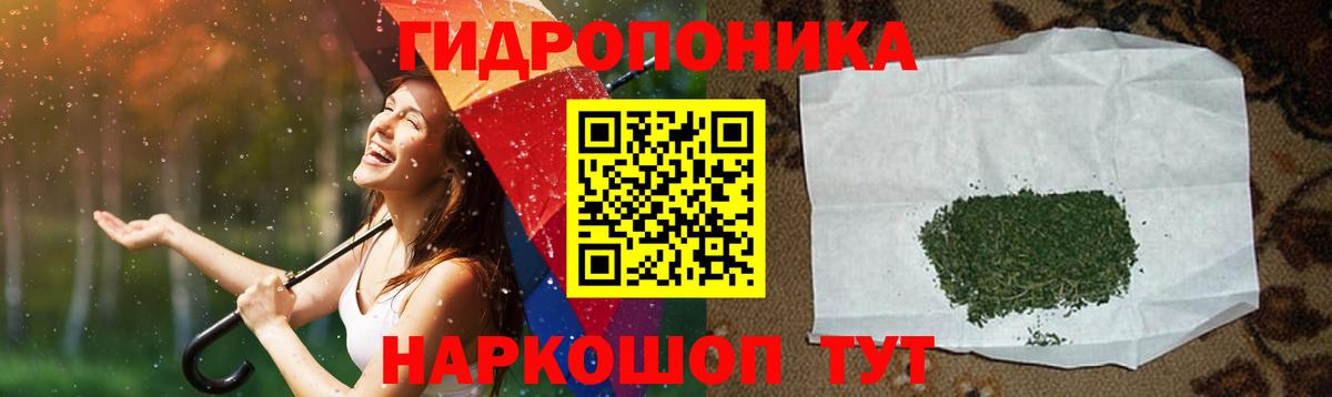 Каннабис план Семилуки